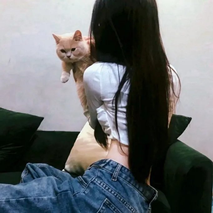 金装律师第一季